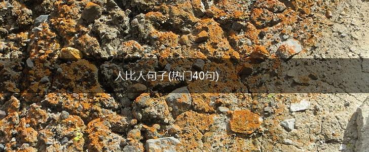 人比人句子(热门40句),第1张