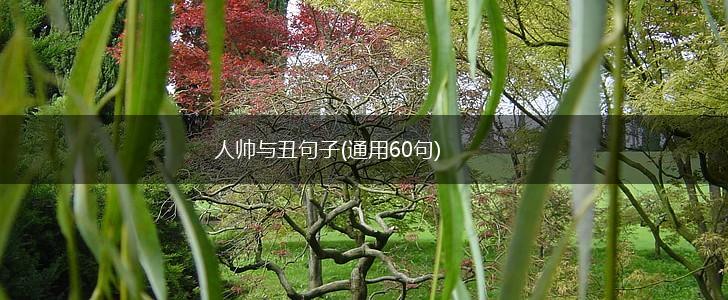 人帅与丑句子(通用60句),第1张