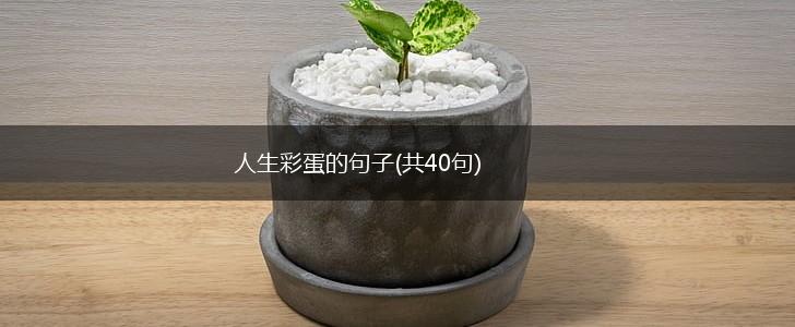 人生彩蛋的句子(共40句),第1张