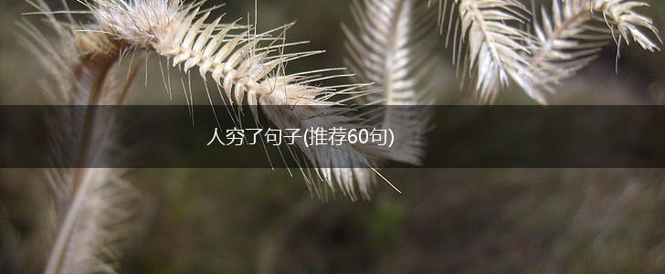 人穷了句子(推荐60句),第1张