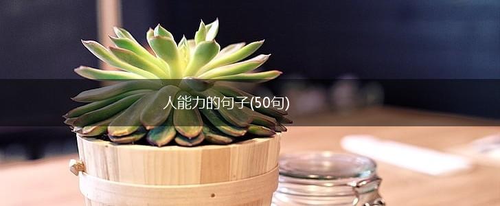 人能力的句子(50句),第1张