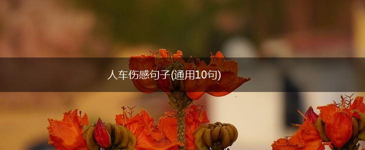 人车伤感句子(通用10句),第1张