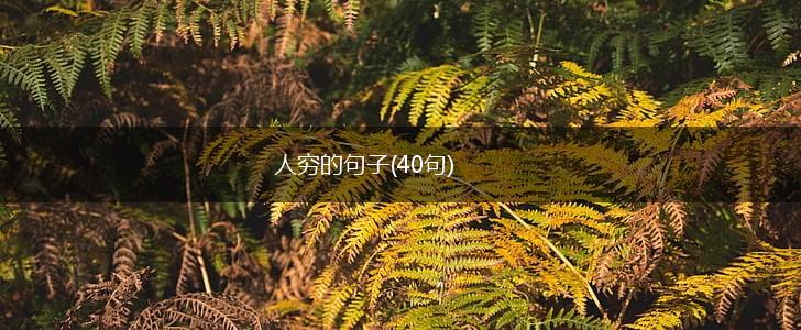 人穷的句子(40句),第1张