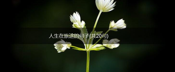 人生在旅途的句子(共20句),第1张