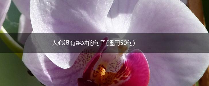 人心没有绝对的句子(通用50句),第1张