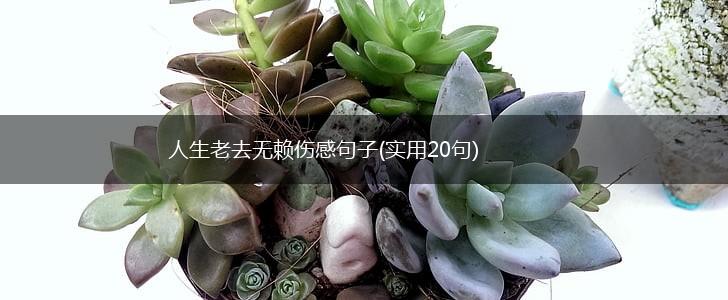 人生老去无赖伤感句子(实用20句),第1张