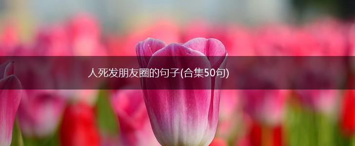 人死发朋友圈的句子(合集50句),第1张