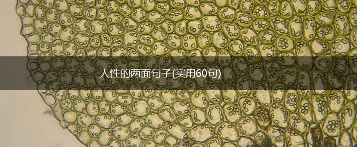 人性的两面句子(实用60句),第1张