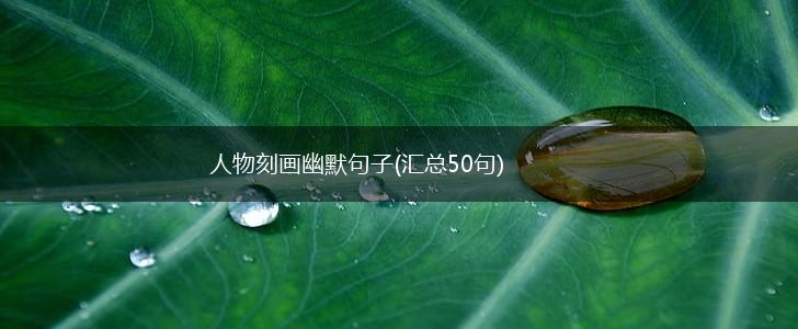 人物刻画幽默句子(汇总50句),第1张