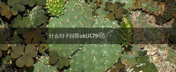 什么句子回答ok(共79句),第1张