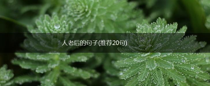 人老后的句子(推荐20句),第1张