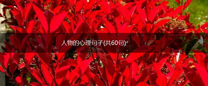 人物的心理句子(共60句),第1张