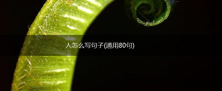 人怎么写句子(通用80句),第1张
