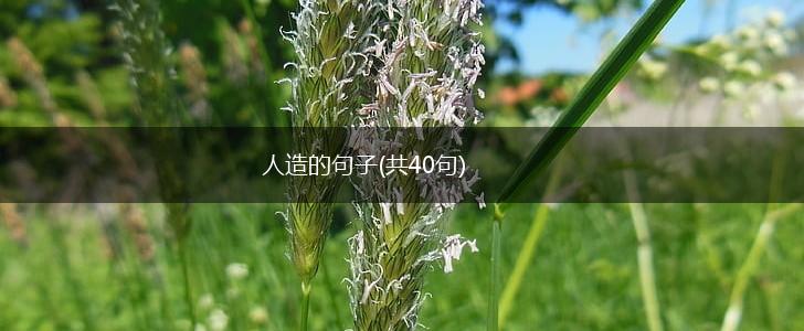 人造的句子(共40句),第1张