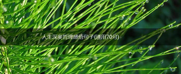 人生深奥哲理感悟句子(通用70句),第1张