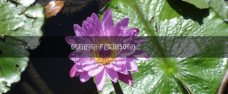 亿万的句子(实用50句),第1张
