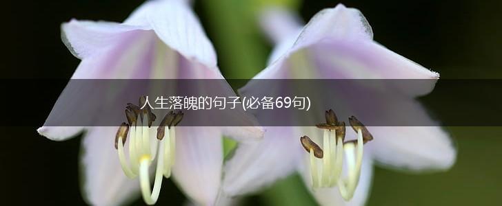 人生落魄的句子(必备69句),第1张