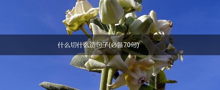 什么切什么造句子(必备70句),第1张