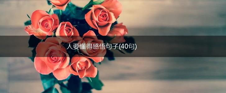 人要懂得感悟句子(40句),第1张
