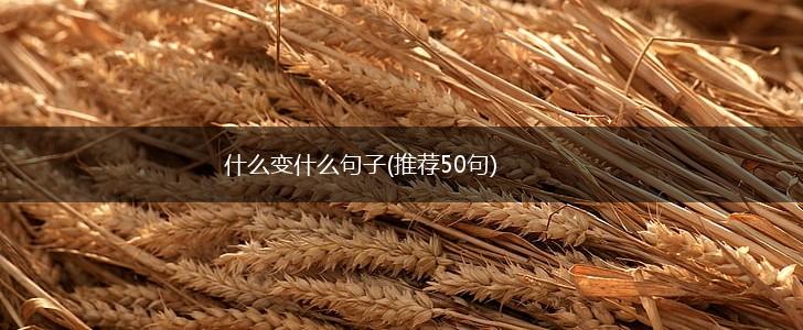 什么变什么句子(推荐50句),第1张
