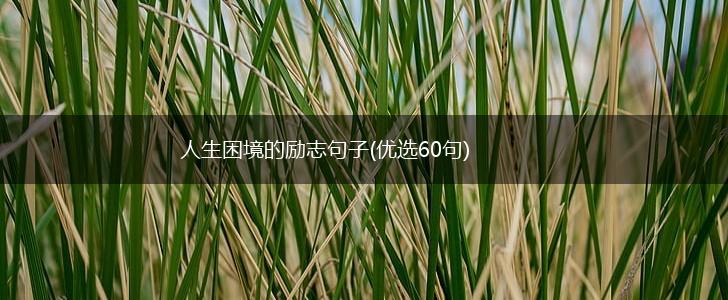 人生困境的励志句子(优选60句),第1张