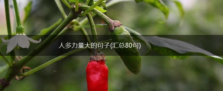 人多力量大的句子(汇总80句),第1张