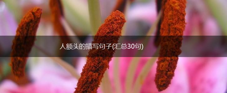 人额头的描写句子(汇总30句),第1张