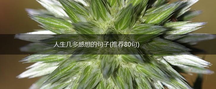 人生几多感想的句子(推荐80句),第1张