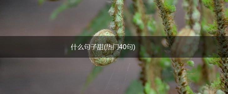 什么句子甜(热门40句),第1张