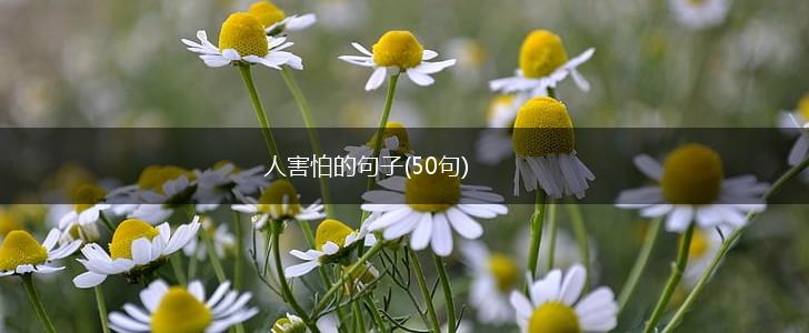 人害怕的句子(50句),第1张