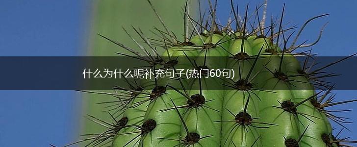 什么为什么呢补充句子(热门60句),第1张