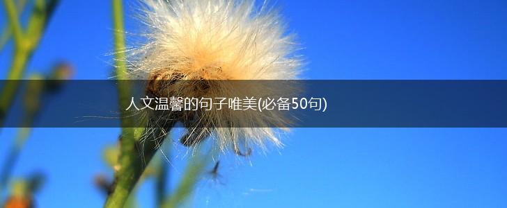 人文温馨的句子唯美(必备50句),第1张