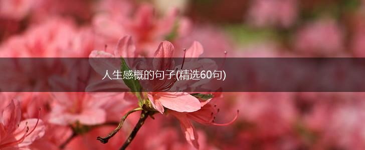 人生感概的句子(精选60句),第1张