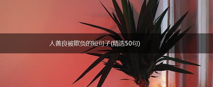 人善良被欺负的短句子(精选50句),第1张