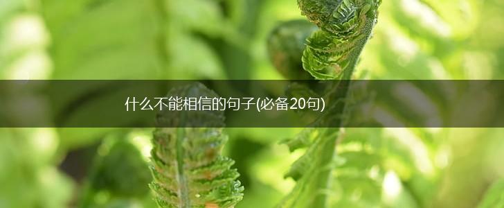 什么不能相信的句子(必备20句),第1张