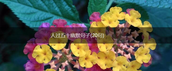 人过五十幽默句子(20句),第1张