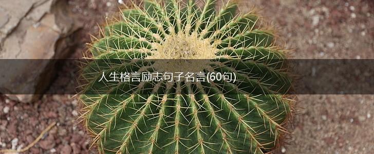 人生格言励志句子名言(60句),第1张