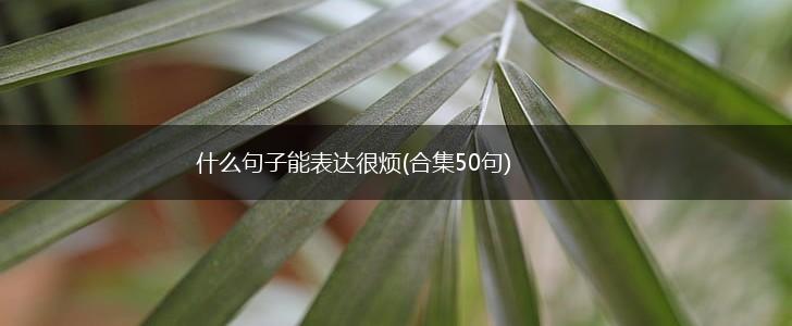 什么句子能表达很烦(合集50句),第1张
