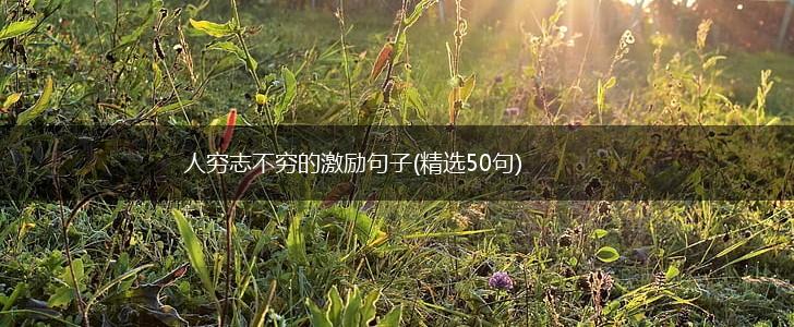 人穷志不穷的激励句子(精选50句),第1张