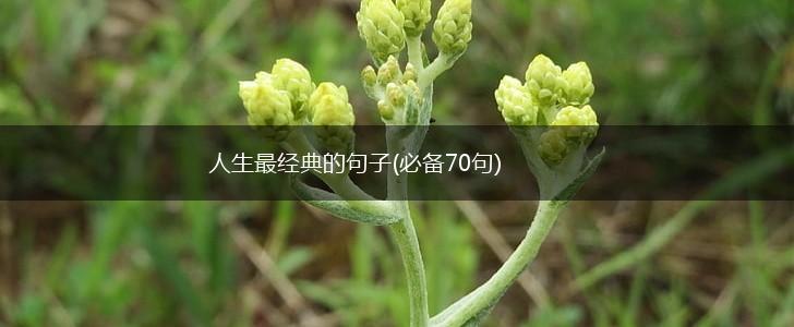 人生最经典的句子(必备70句),第1张