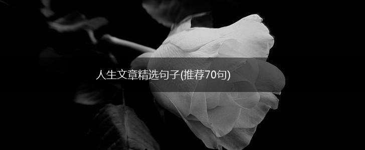 人生文章精选句子(推荐70句),第1张