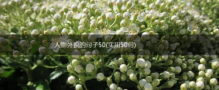 人物外貌的句子50(实用50句),第1张