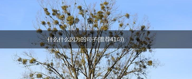 什么什么因为的句子(推荐41句),第1张