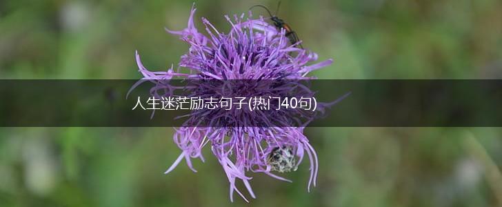 人生迷茫励志句子(热门40句),第1张