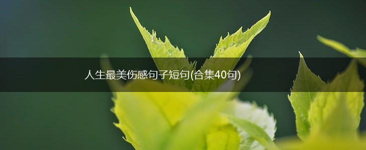 人生最美伤感句子短句(合集40句),第1张