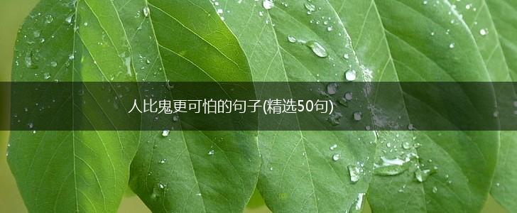 人比鬼更可怕的句子(精选50句),第1张