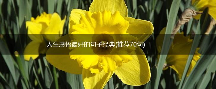 人生感悟最好的句子经典(推荐70句),第1张