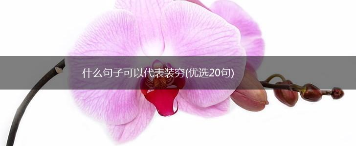 什么句子可以代表装穷(优选20句),第1张