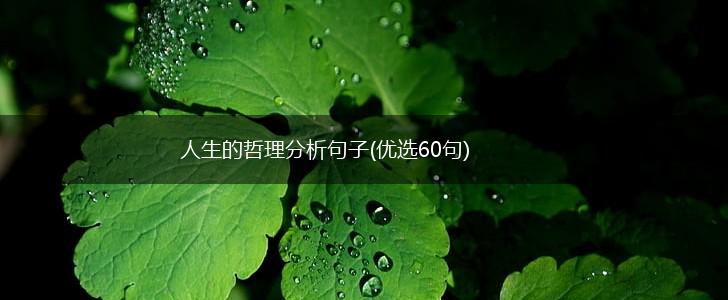 人生的哲理分析句子(优选60句),第1张