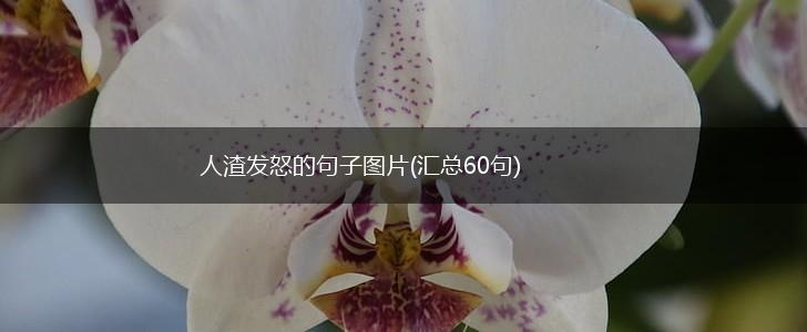 人渣发怒的句子图片(汇总60句),第1张